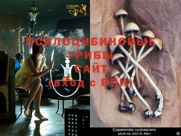 марки lsd Балабаново