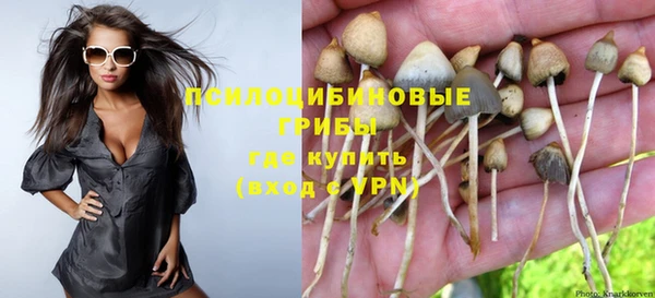 марки lsd Балабаново